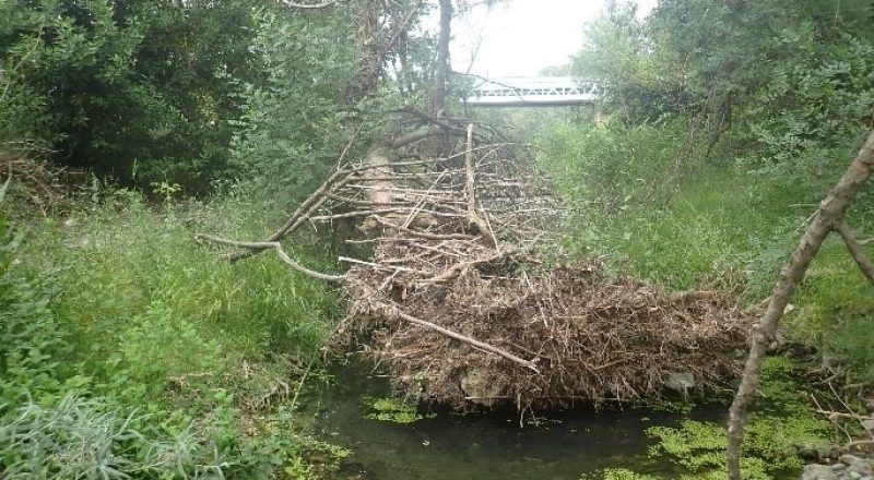photo1